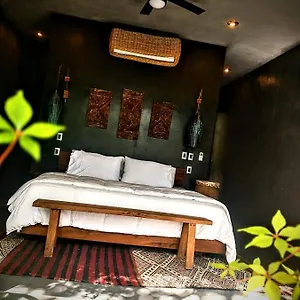  Bed & Breakfast Casa Vive Mexico